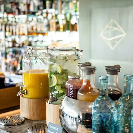 Stein - Adults Only 4*