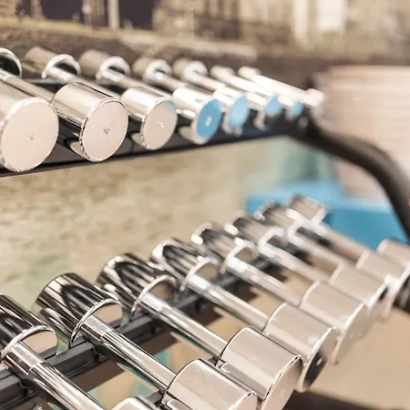 Stein - Adults Only 4*