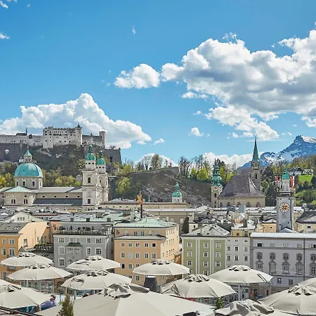 Stein - Adults Only 4*