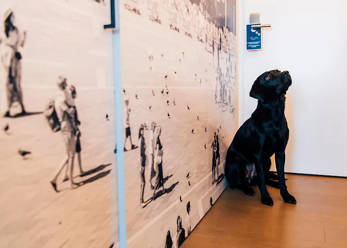 Stein - Adults Only Salzburg