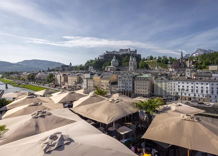 Stein - Adults Only 4*