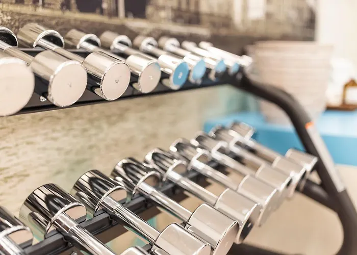 Stein - Adults Only 4*