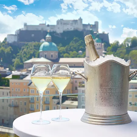 Stein - Adults Only