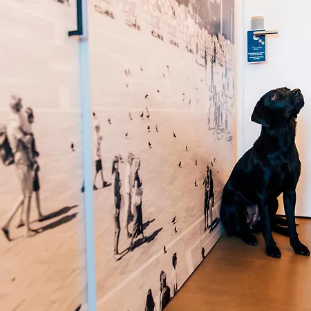 Stein - Adults Only Σάλτσμπουργκ