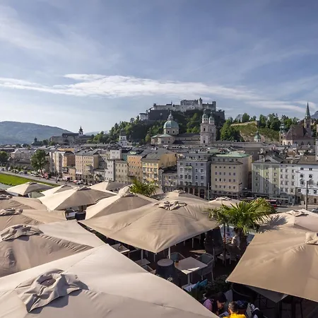 Stein - Adults Only 4*